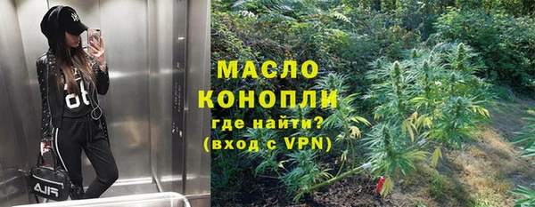 индика Балабаново